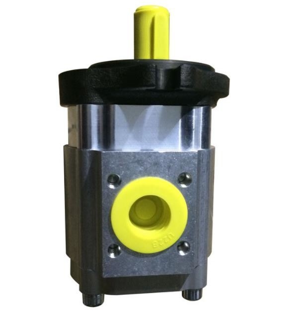 EHIP6-160RK23-10 Hydraulic Machine Pump Gear Vane Type ECKERLE Model
